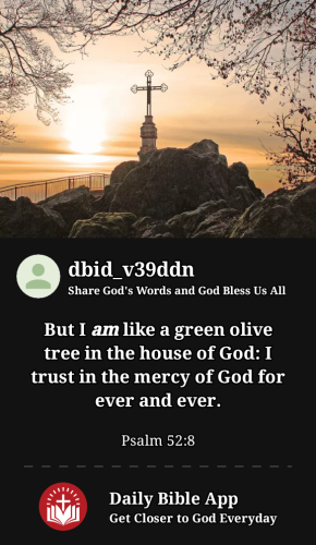 2023-08-101691723231940