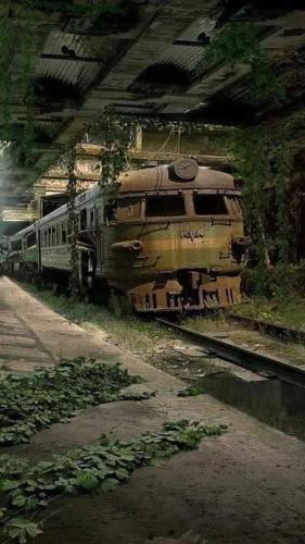 FB_IMG_1692606852693