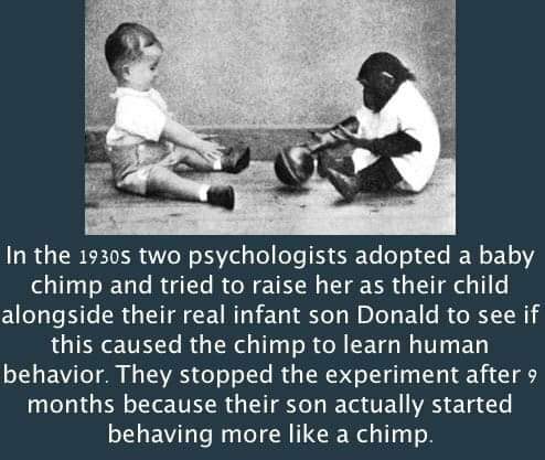 2 psychoolgists