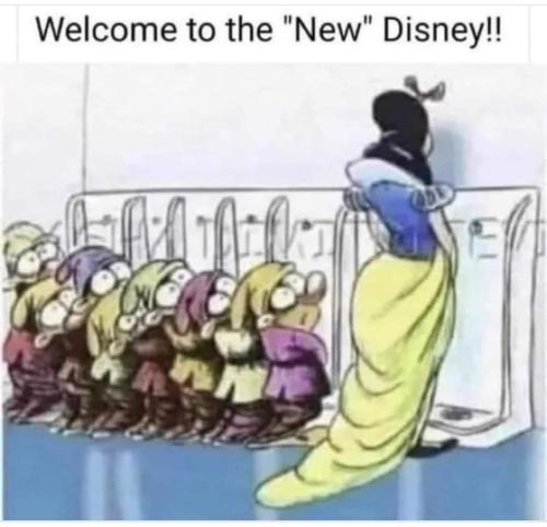 FB_IMG_1691496930494