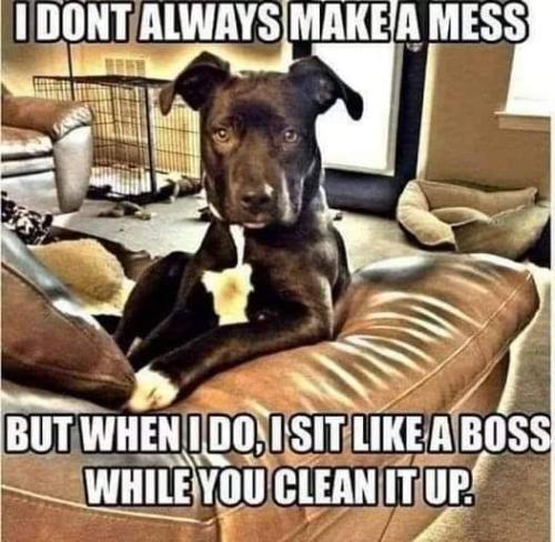 FB_IMG_1692585054793