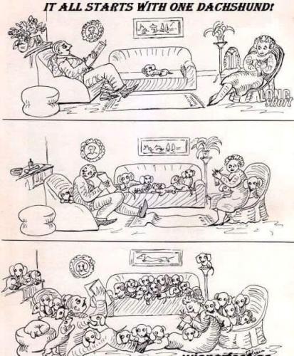 FB_IMG_1691633712999