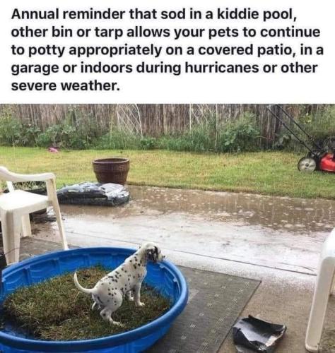 FB_IMG_1692054766146