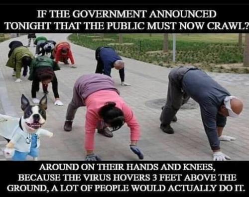 if the government said