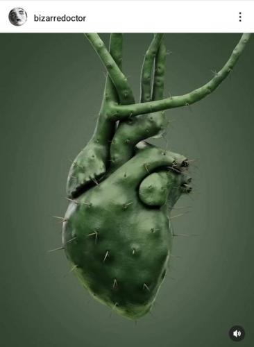 FB_IMG_1692816792454