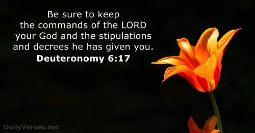 Deuteronomy 6_17
