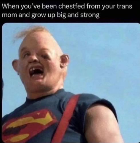 photo_2023-08-04_09-50-17