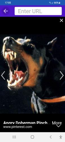 Screenshot_20230804-175535_Shield Home