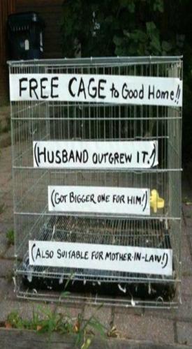 366953888_2015339102146600_1196296311362883846_n