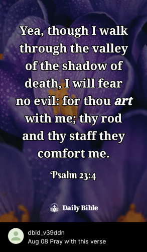 2023-08-081691555273292