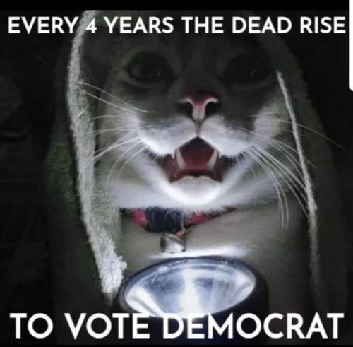 photo_2023-08-27_19-42-32