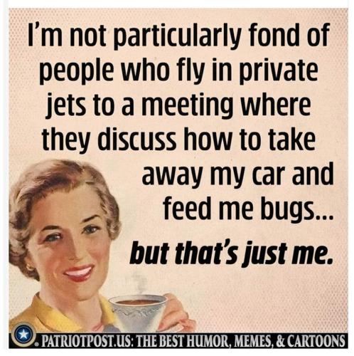 FB_IMG_1692058614764