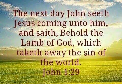 c8cc1395-35b0-49b2-a489-aa92406dade2