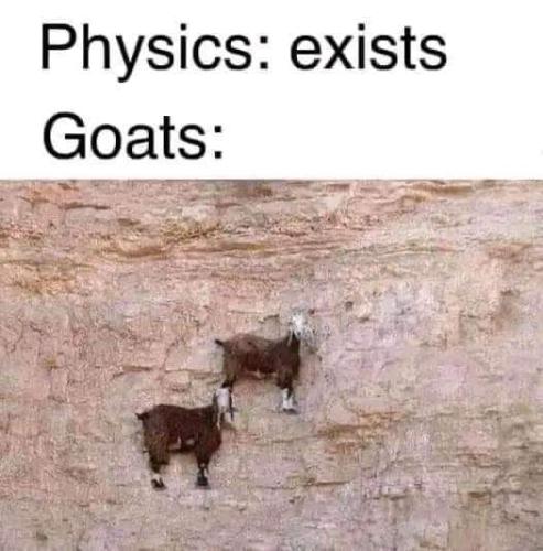 FB_IMG_1692767747710