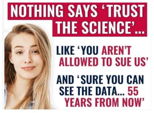 FB_IMG_1691882552551