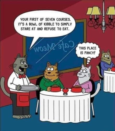 seven courses