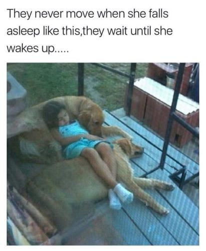 FB_IMG_1692786622776