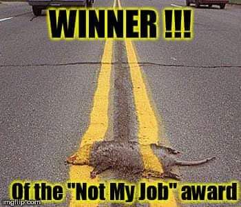 FB_IMG_1691607425257