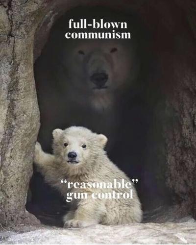 Communist Bears 1