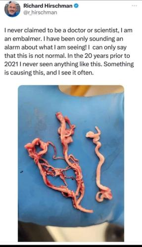 FB_IMG_1692730714335