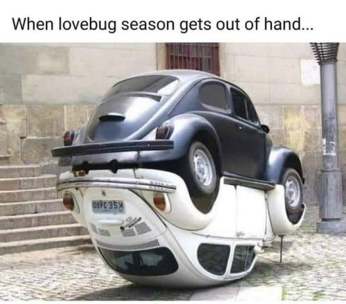 FB_IMG_1691633203917