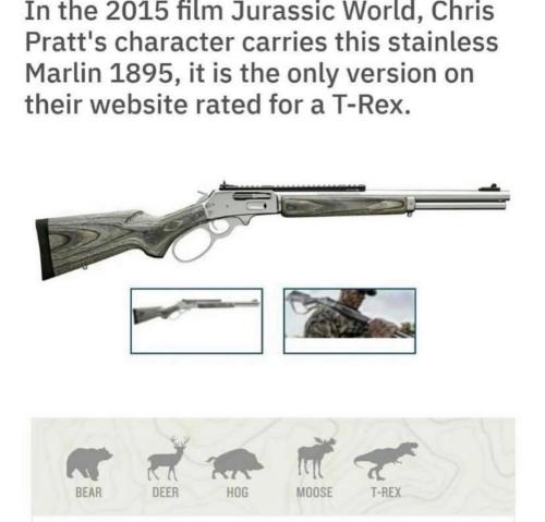 362675143_613750624239570_6095649368325239424_n