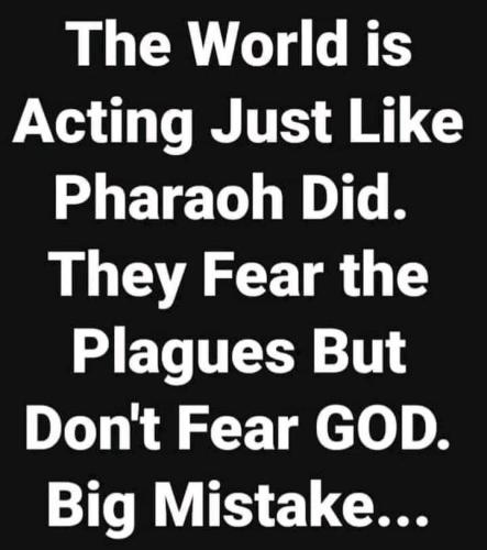 FB_IMG_1693077345111