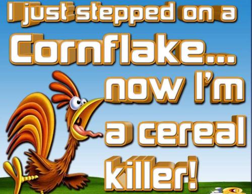 FB_IMG_1691512475271