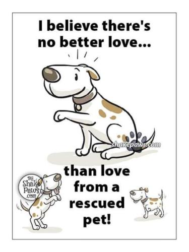 Rescued Pet Love