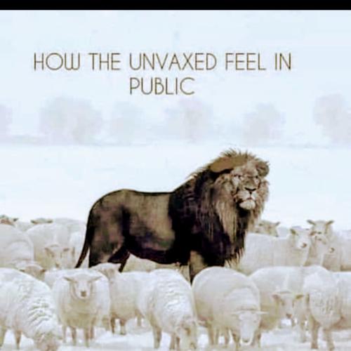 Screenshot_20220928-011932_Wimkin Free Speech Social Media