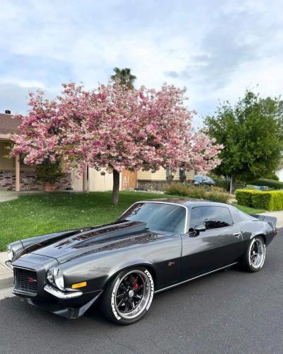 FB_IMG_1692749848414