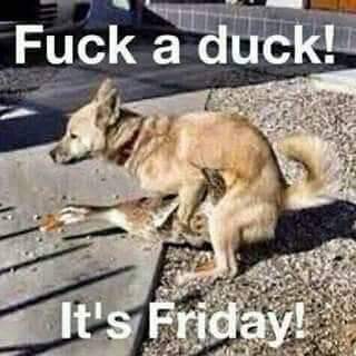 FB_IMG_1691737550066