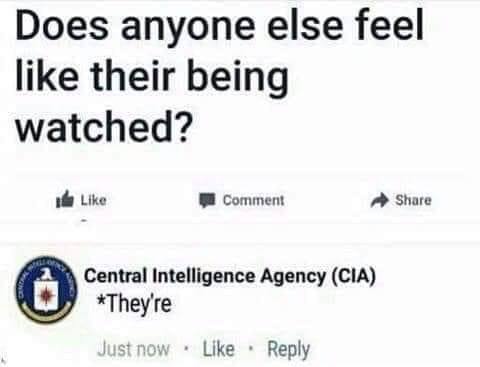 366352885_249864071219945_8713818705437889977_n