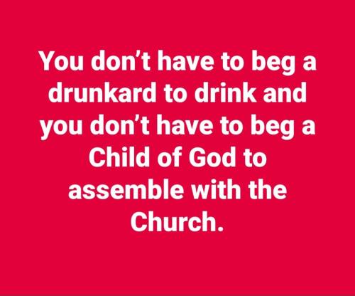 2cf2c5b0-0efc-410f-a5fe-5d5fe8044510