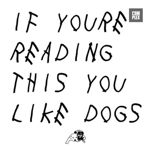 FB_IMG_1692992878656