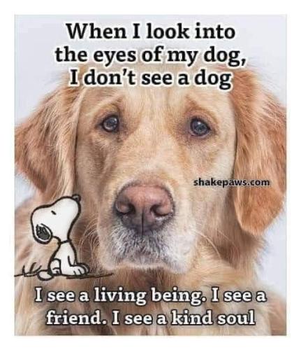 FB_IMG_1692042736361
