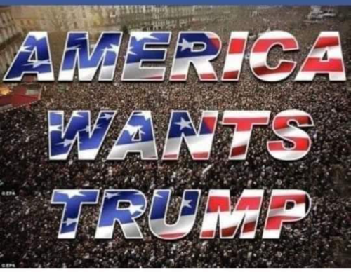 Screenshot_20230814-083123~2