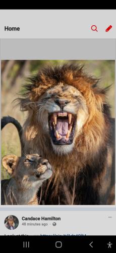 Screenshot_20230722-155705_Wimkin Free Speech Social Media