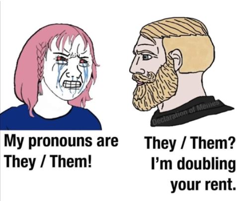 pronouns