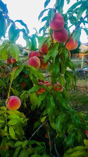 c19c0fae-b1cd-4ea4-8836-da08505b8457