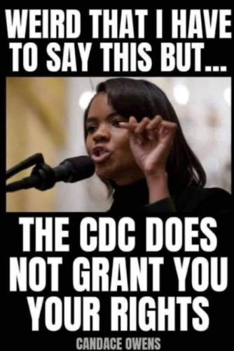 90miles5020ca3c80b4571486d8adbd656ac581_3230d09a_540