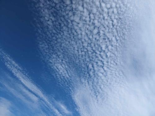 received_1314096566162787