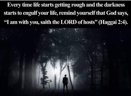 c153b669-8c59-40a0-bb1e-826e34a1b793