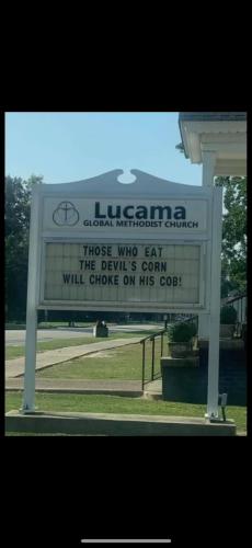 370500905_256764230529929_3215440875942871953_n