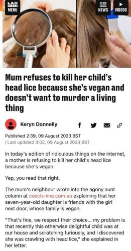 head lice