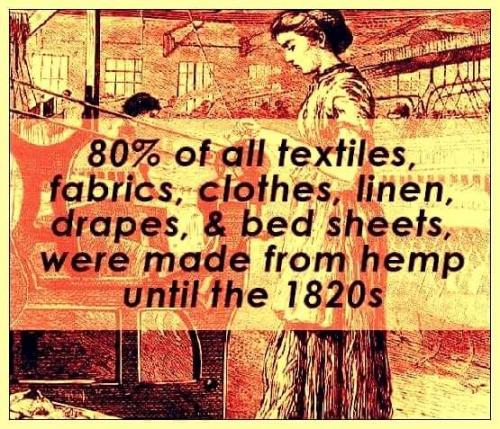 madwe eform hemp