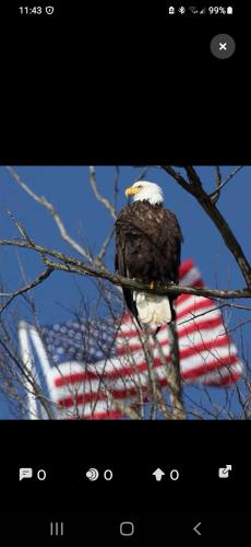 Screenshot_20230224-114359_Parler