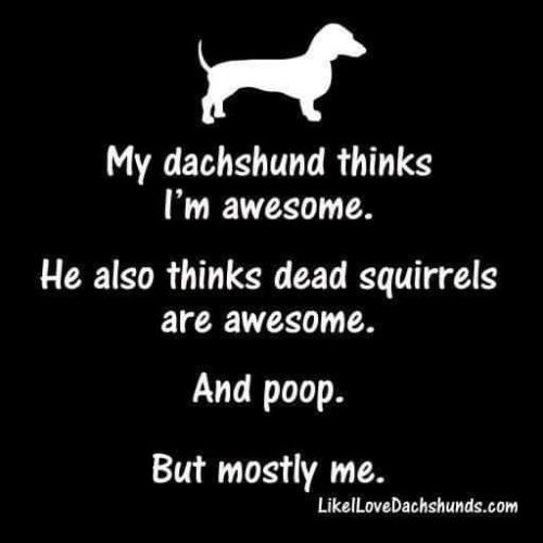 FB_IMG_1691633643572