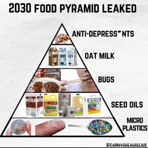 FB_IMG_1692886188906