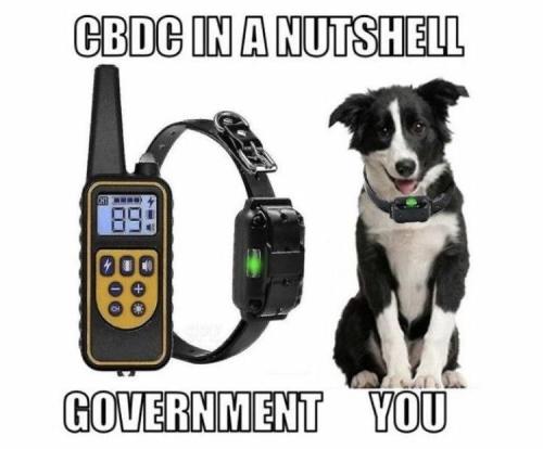 photo_2023-08-10_17-31-09